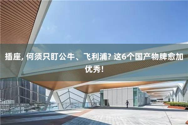 插座, 何须只盯公牛、飞利浦? 这6个国产物牌愈加优秀!