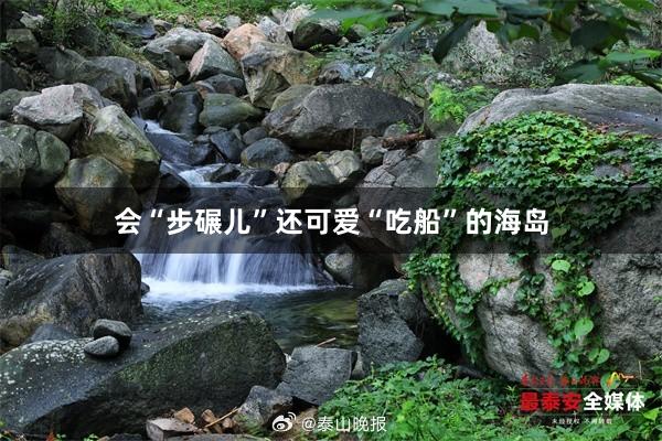 会“步碾儿”还可爱“吃船”的海岛