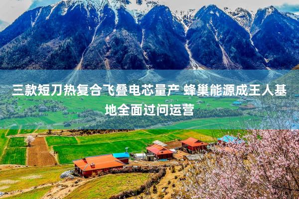 三款短刀热复合飞叠电芯量产 蜂巢能源成王人基地全面过问运营